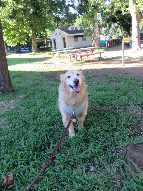 ファイル 5089-1.jpg