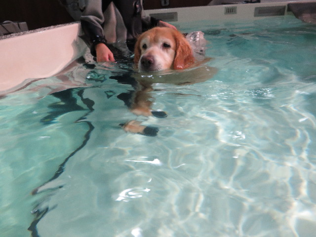 ファイル 5089-3.jpg