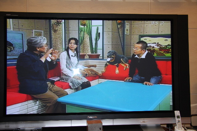 ファイル 509-4.jpg