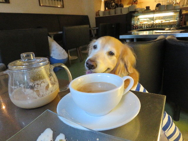 ファイル 5092-2.jpg