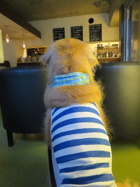 ファイル 5092-3.jpg