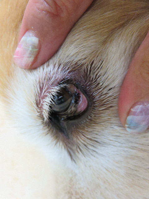 ファイル 5094-3.jpg