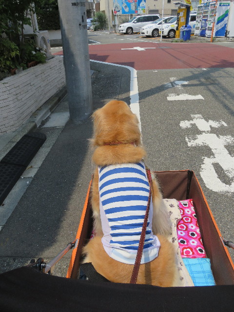 ファイル 5095-5.jpg