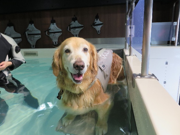 ファイル 5096-3.jpg