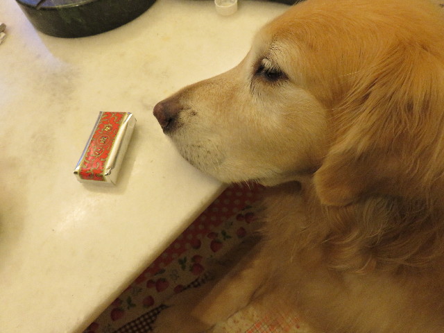 ファイル 5098-3.jpg