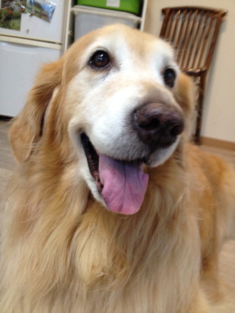 ファイル 5099-5.jpg