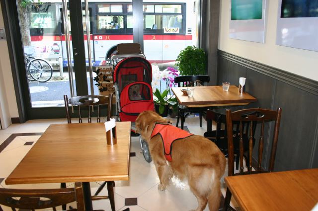 ファイル 51-2.jpg