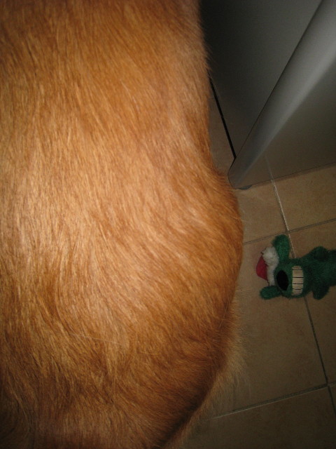 ファイル 510-2.jpg