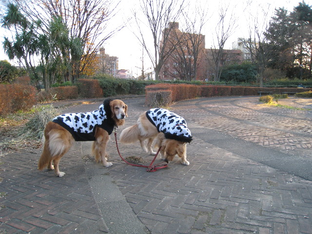 ファイル 510-3.jpg