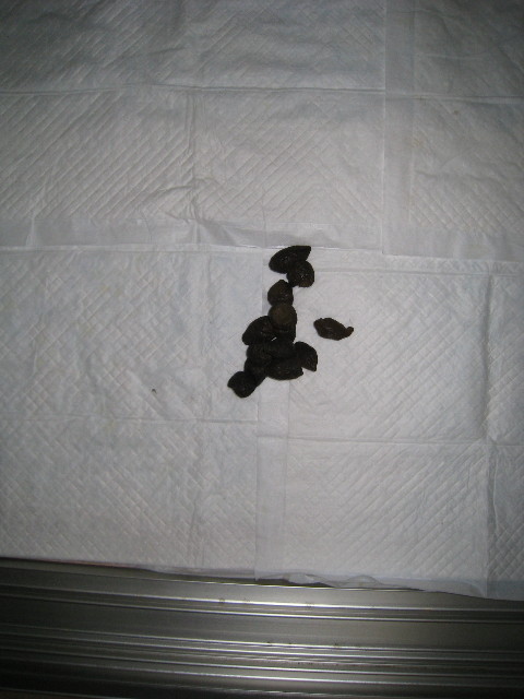 ファイル 510-5.jpg