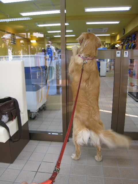 ファイル 511-2.jpg