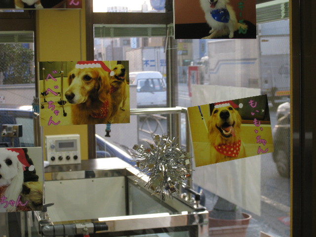 ファイル 511-4.jpg