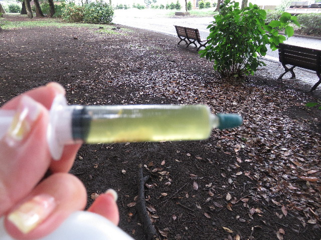 ファイル 5110-2.jpg