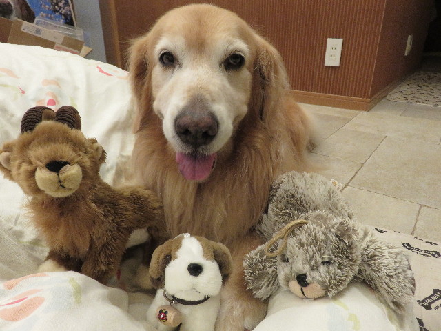 ファイル 5111-3.jpg