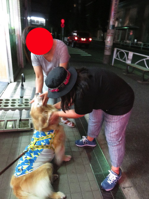 ファイル 5111-5.jpg