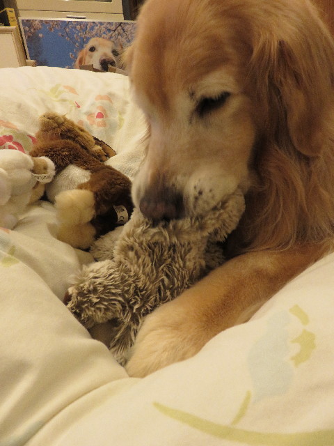 ファイル 5112-1.jpg