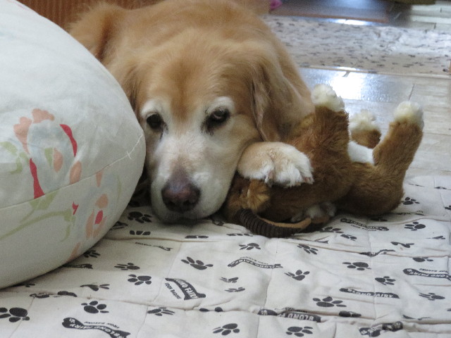 ファイル 5112-2.jpg