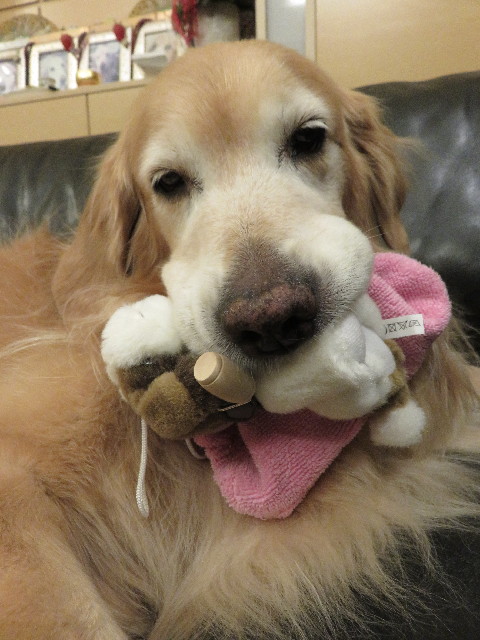 ファイル 5112-3.jpg