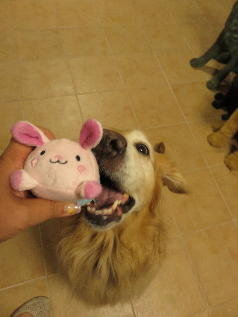 ファイル 5113-2.jpg