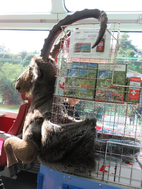 ファイル 5115-3.jpg