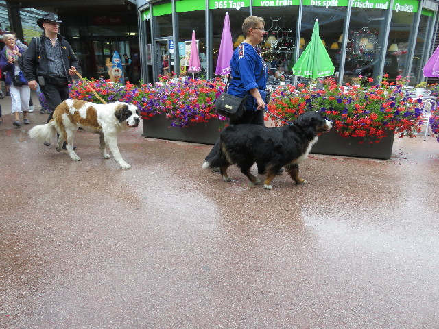 ファイル 5118-1.jpg