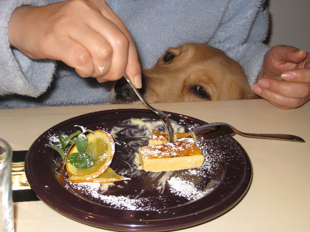 ファイル 512-5.jpg