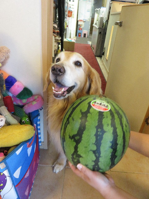 ファイル 5121-3.jpg