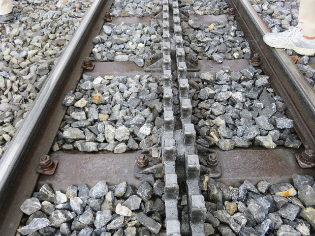 ファイル 5124-1.jpg