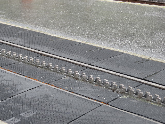 ファイル 5124-2.jpg