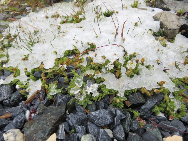 ファイル 5125-3.jpg