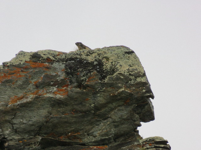 ファイル 5126-3.jpg