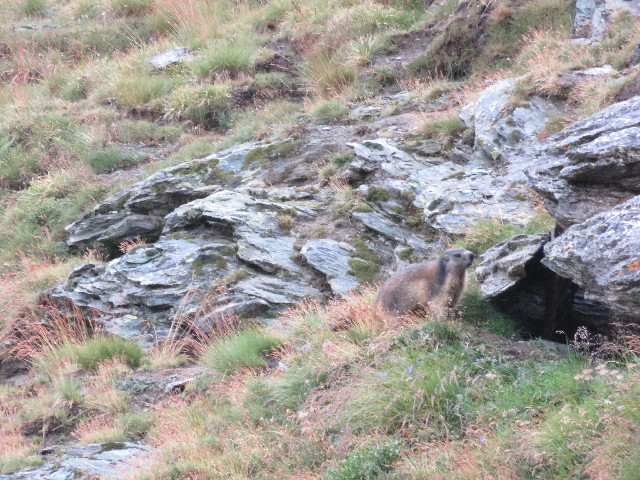 ファイル 5126-4.jpg