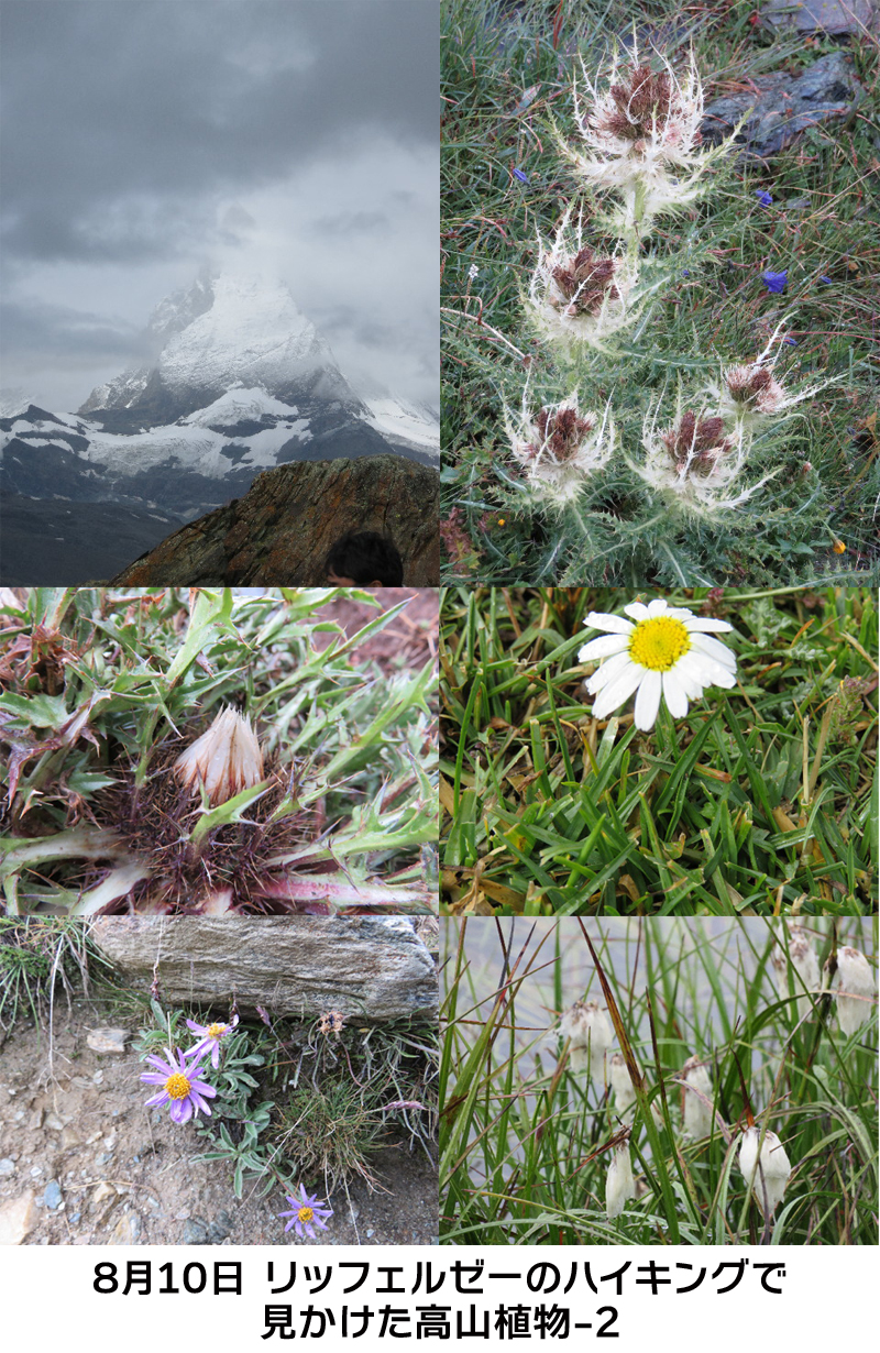 ファイル 5127-2.jpg