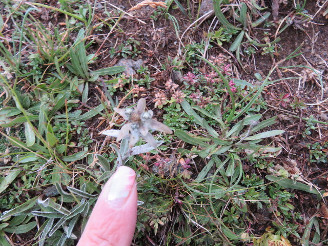 ファイル 5128-2.jpg