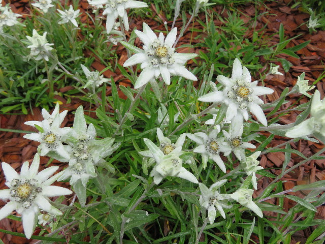 ファイル 5128-4.jpg