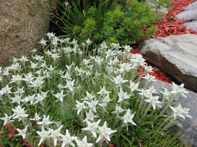 ファイル 5128-5.jpg