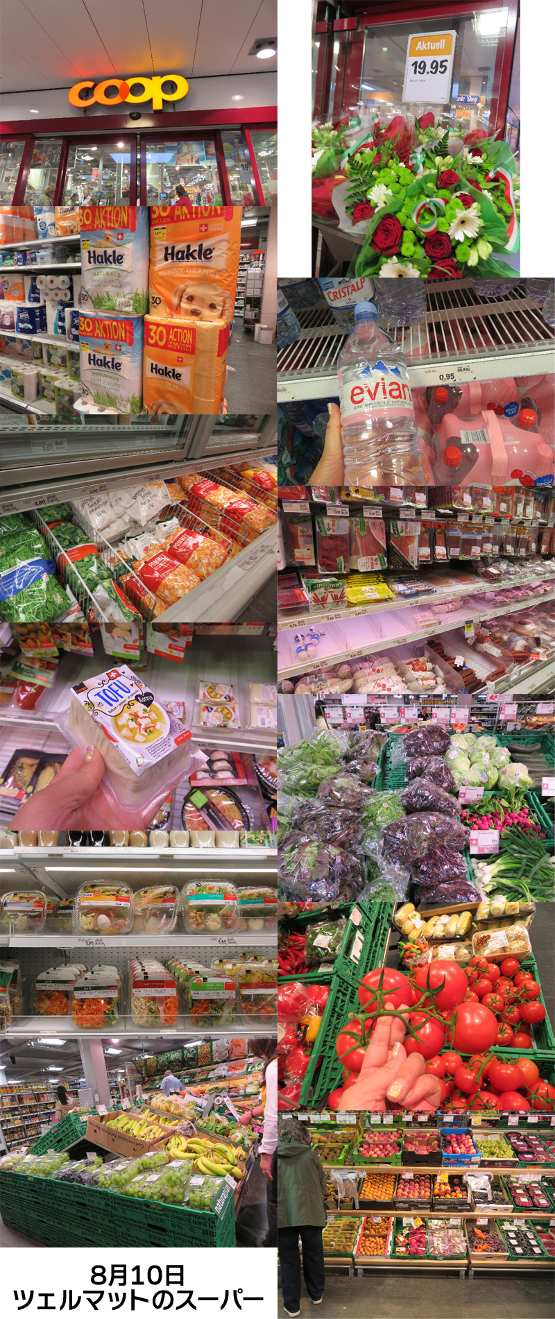 ファイル 5133-1.jpg