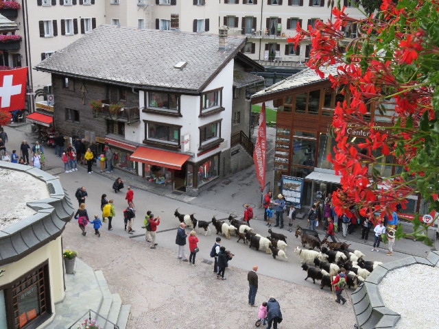 ファイル 5133-3.jpg