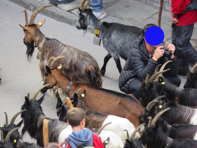 ファイル 5133-4.jpg