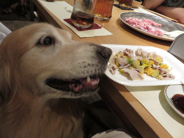 ファイル 5135-3.jpg