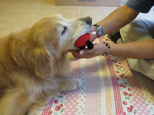 ファイル 5135-5.jpg