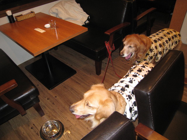 ファイル 514-4.jpg