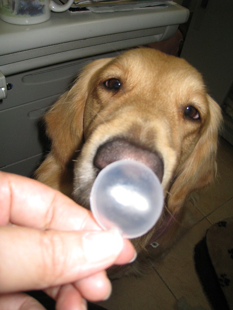 ファイル 515-3.jpg