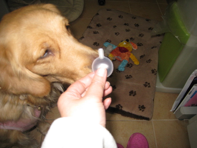 ファイル 515-4.jpg