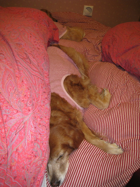 ファイル 515-5.jpg