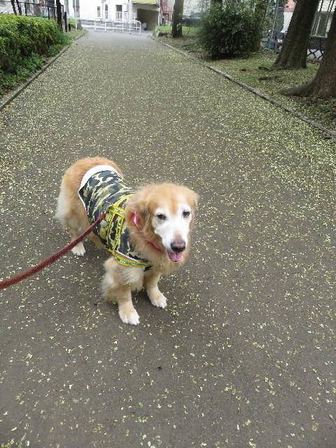 ファイル 5165-2.jpg