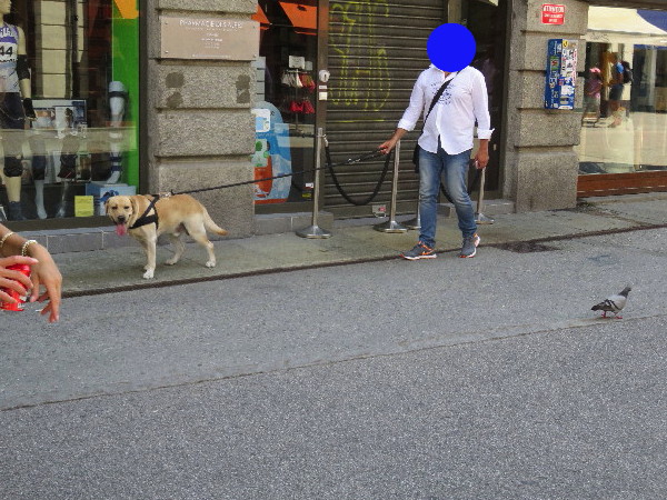 ファイル 5170-1.jpg