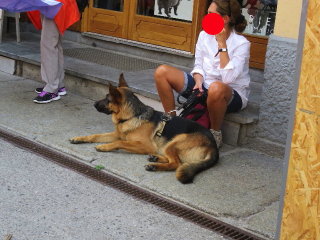 ファイル 5170-2.jpg