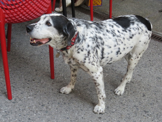 ファイル 5170-3.jpg