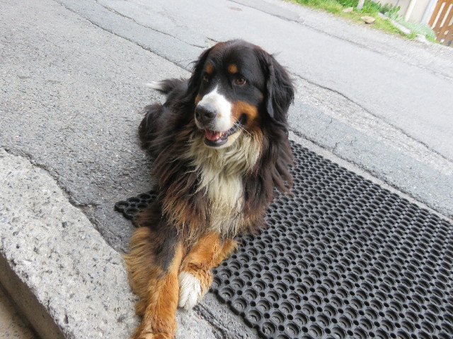 ファイル 5170-5.jpg